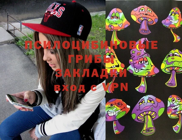 соль ск Бугульма