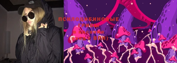 гидра Богданович