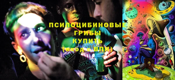 марки lsd Богородицк