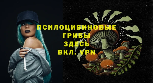марки lsd Богородицк