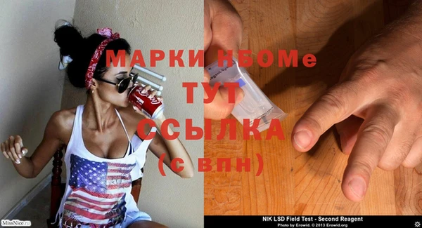 гидра Богданович