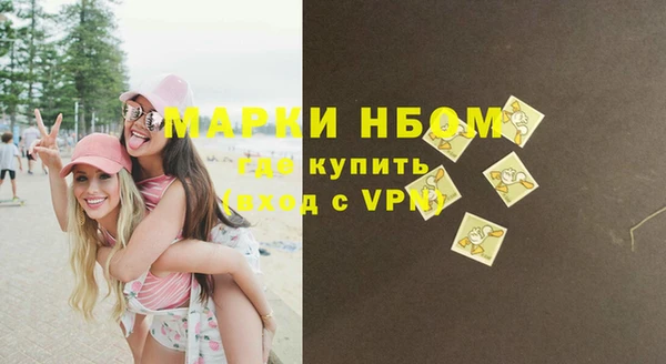 гидра Богданович