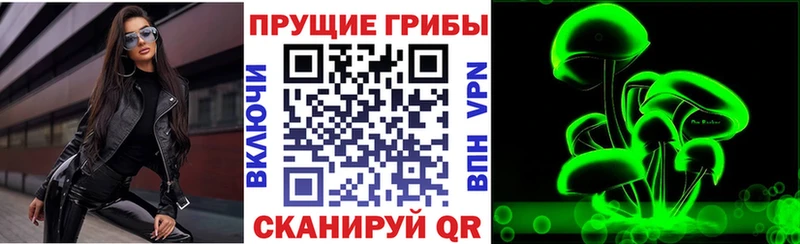Галлюциногенные грибы Cubensis  закладки  Баксан 